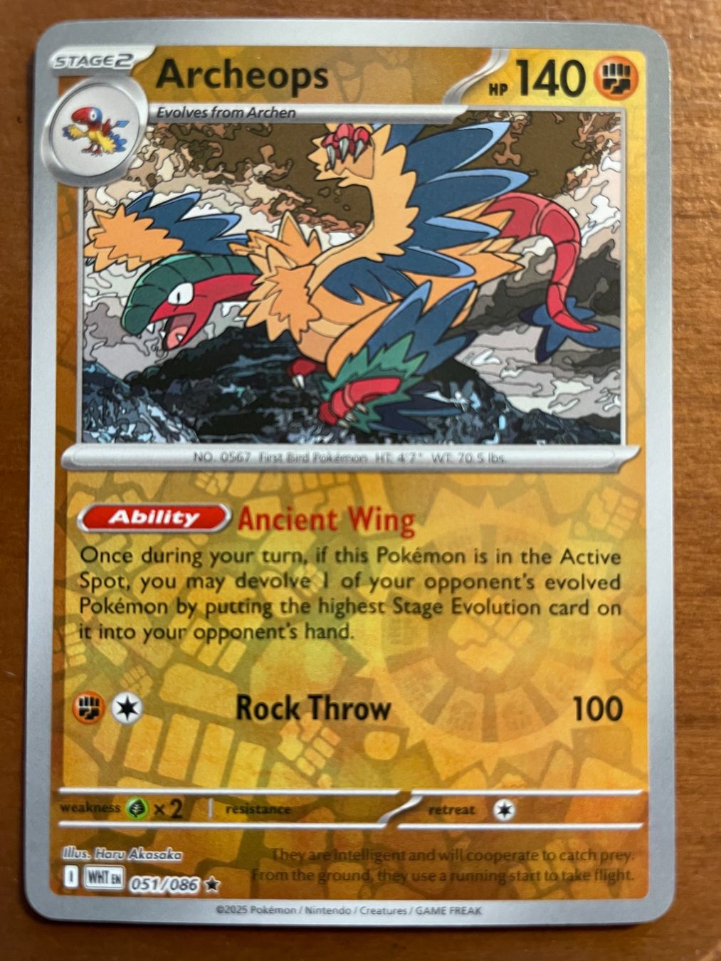 Pokémon Carte collezionabili: Pokemon Archeops Reverse (Versand gratis) – Nuovo (secondo la descrizione) da Chur venduto da Angerson