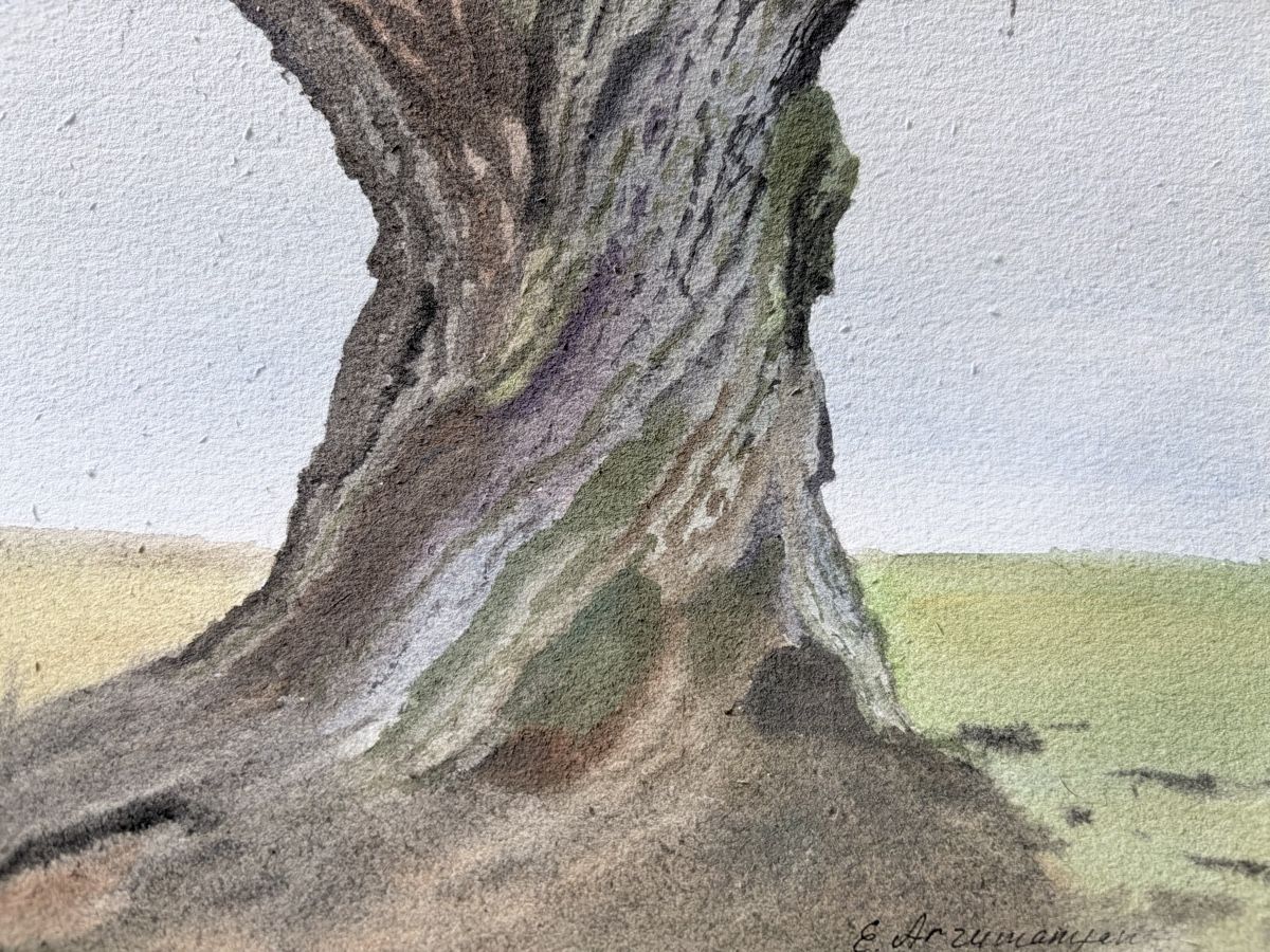 Gemälde: Die alte Eiche. Aquarell 2026. – Neu (gemäss Beschreibung) aus Meggen von My_art_for_you 1