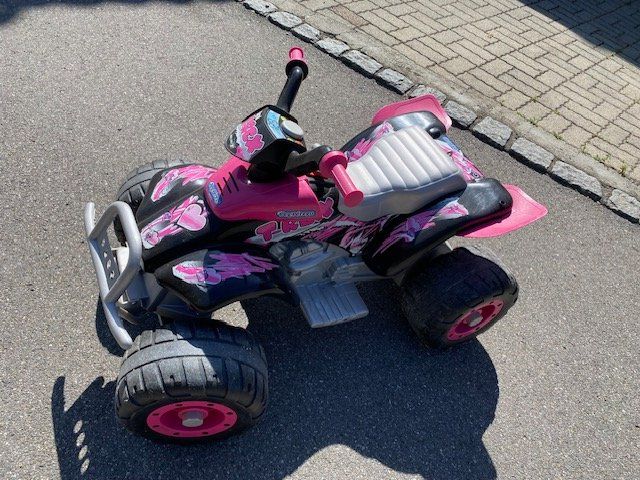 Mini Quad: Kinder Quad elektro T-REX – Usato da Liebistorf venduto da cadour11 1