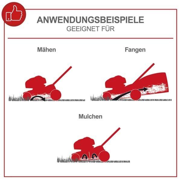 Rasenmäher: Benzin-Rasenmäher MS150-42 scheppach - 3.7PS – Neu und originalverpackt aus Andwil TG von VR-SW 2