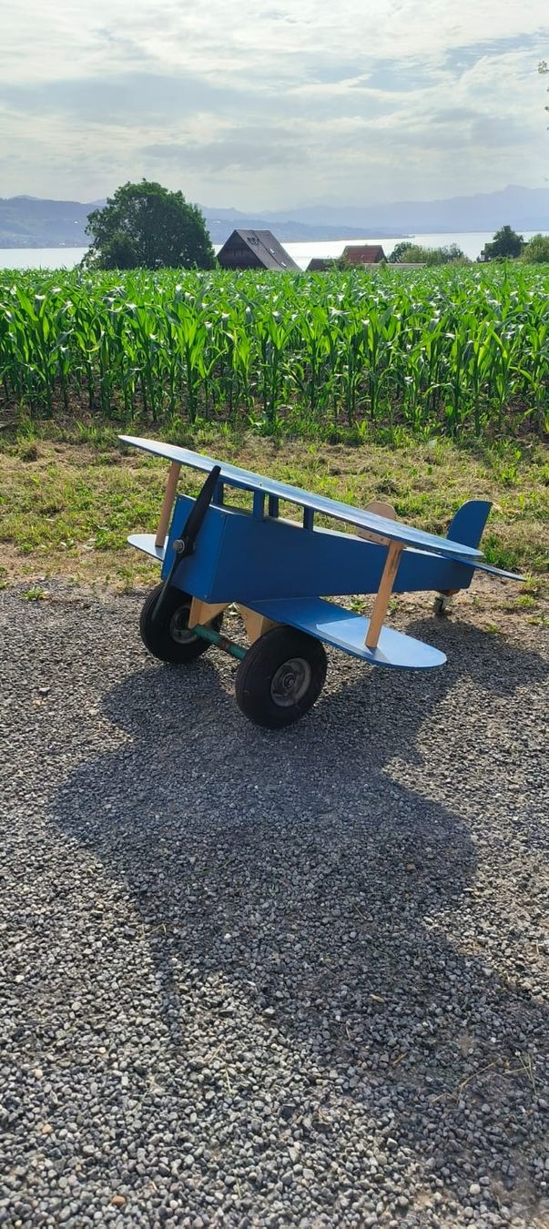 Giocattoli: Holz Modellflugzeug – Usato da Wädenswil venduto da weihpos 6