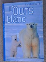 L'ours blanc - Terres polaires