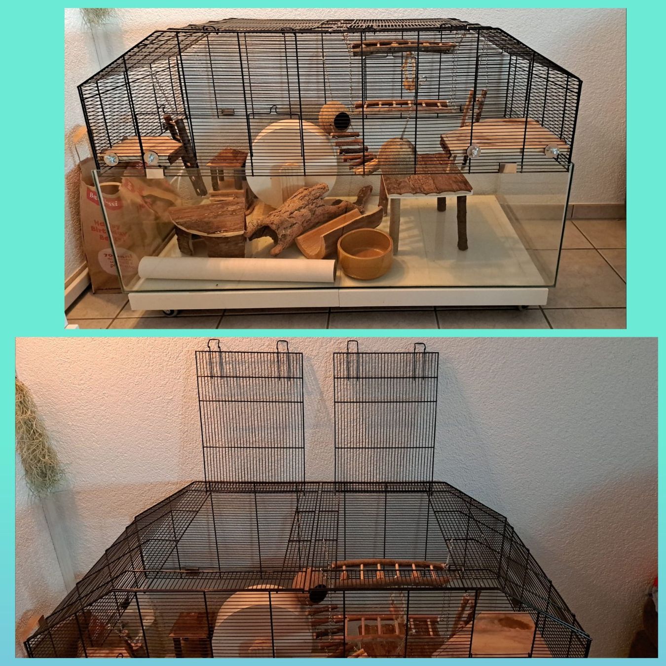 Cages, transport & sécurité: Rennmaus / Nager Käfig – D'occasion à Zofingen par NadinO