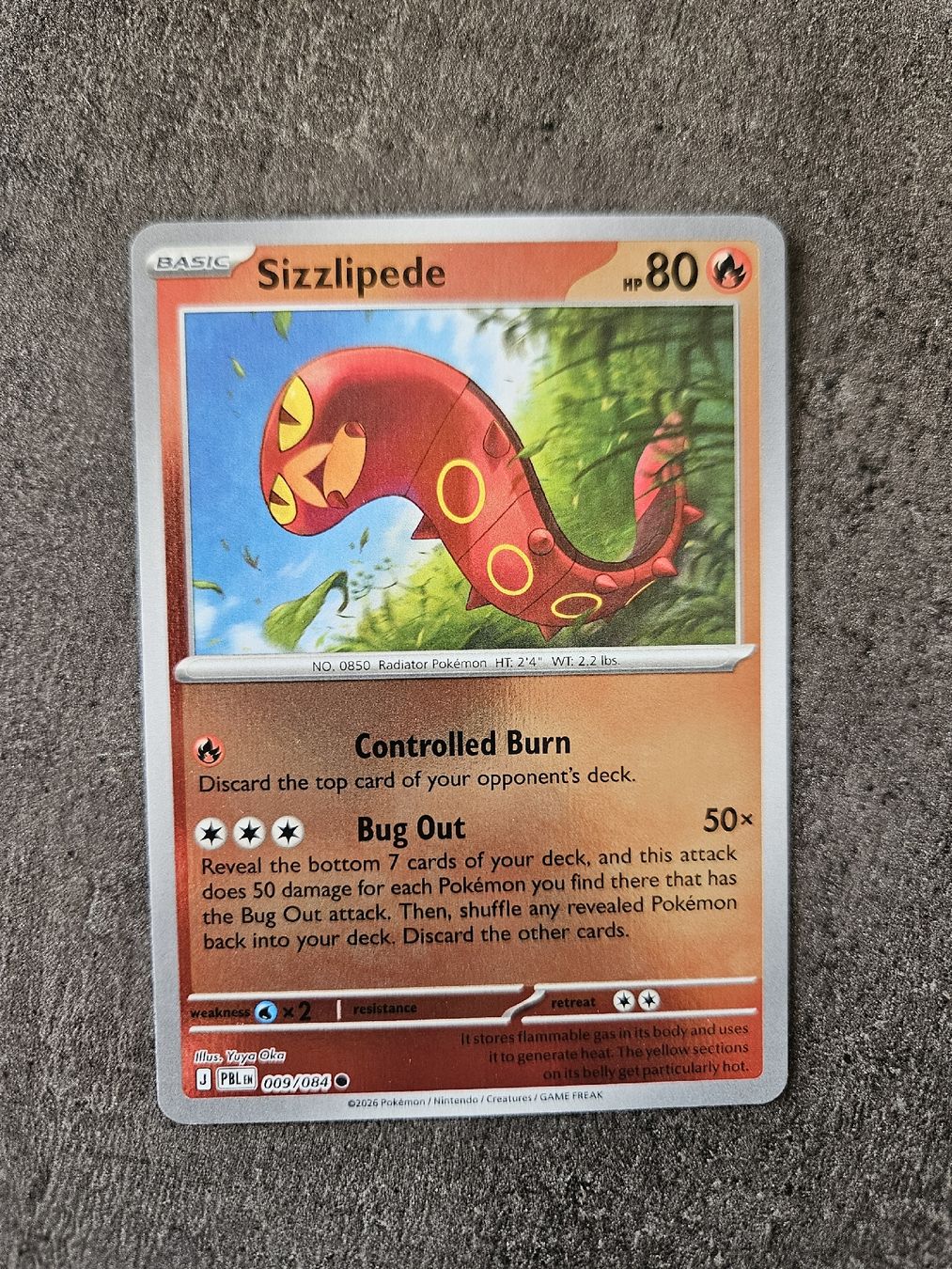 Pokémon Carte collezionabili: Sizzlipede PBL EN 009/084 – Nuovo (secondo la descrizione) da Aarau venduto da san_pb85