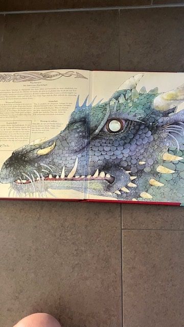Libri: Cooles Drachen-Buch – Usato da Altstätten SG venduto da gina6378 3