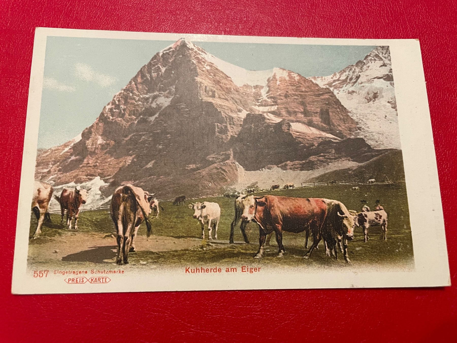 Ansichtskarten: Kuhherde am Eiger – Gebraucht aus St-Légier-Chiésaz von Theo006