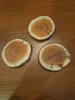 Eibe-Baumscheiben, Naturdeko, 3 Stück, Neu!