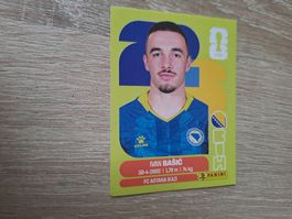 BIH 12