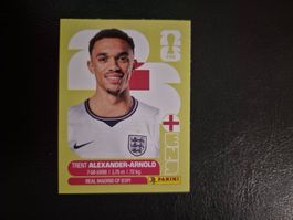 Panini WM 26 ENG 6