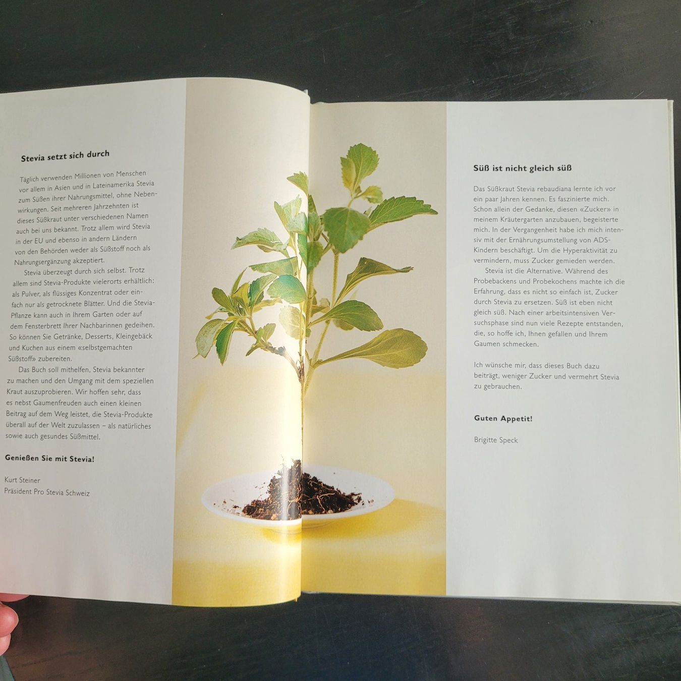 Bücher: Stevia / Süssen mit dem Wunderkraut - Brigitte Speck – Neu (gemäss Beschreibung) aus SCHÜBELBACH von CoKaHa 6