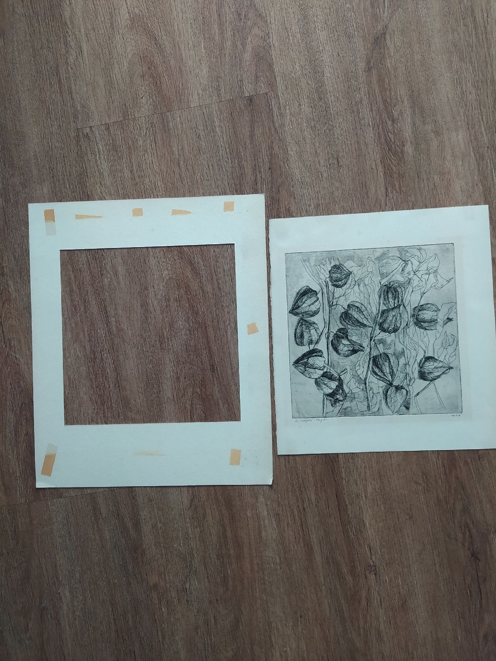 Carte collezionabili: Original Etching by E. Höyla-Vogt, Signed & Dated 1978 – Usato da Möhlin venduto da mik_h72m 4