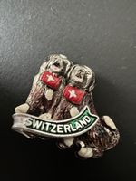 Alter Schweiz Anstecker Pin sehr schön🤩