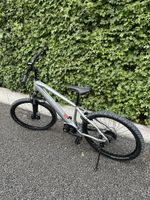 Allegro Crosstour AXM E-Bike 25KM/H 250W 