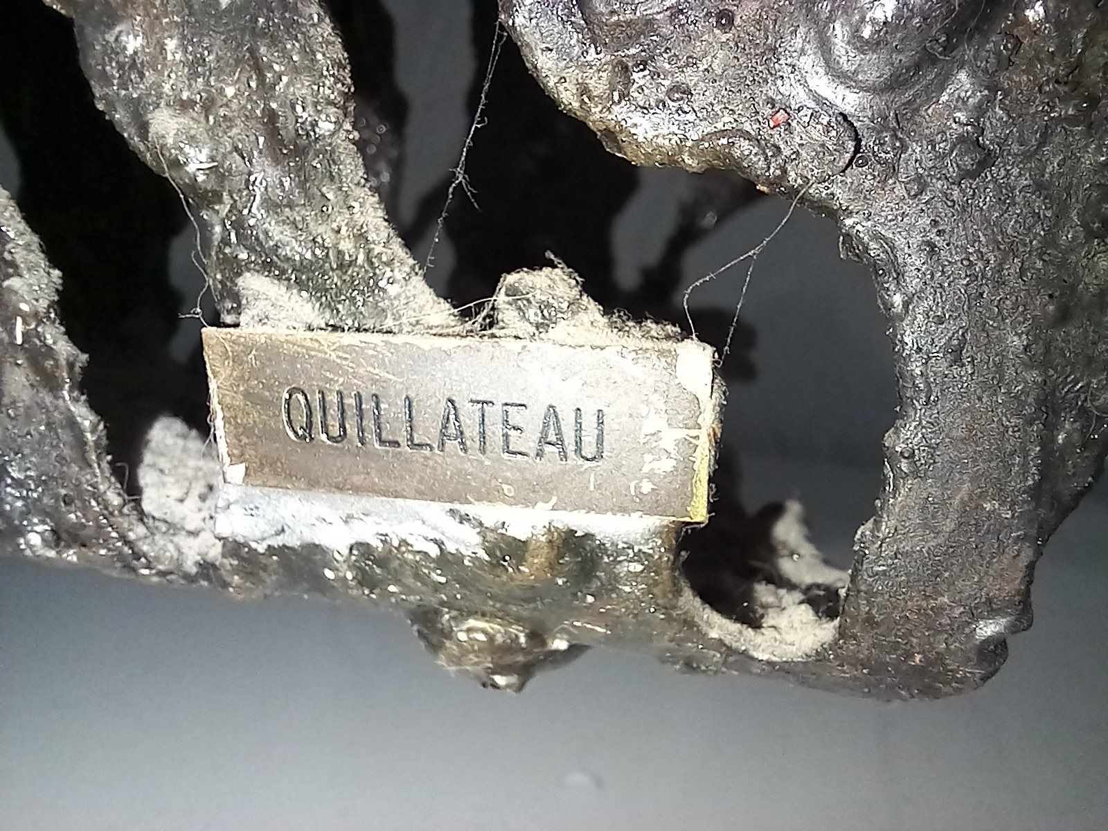 Skulpturen & Statuen: Skulptur von Claude Quillateau – Gebraucht aus Binningen von trovata 2