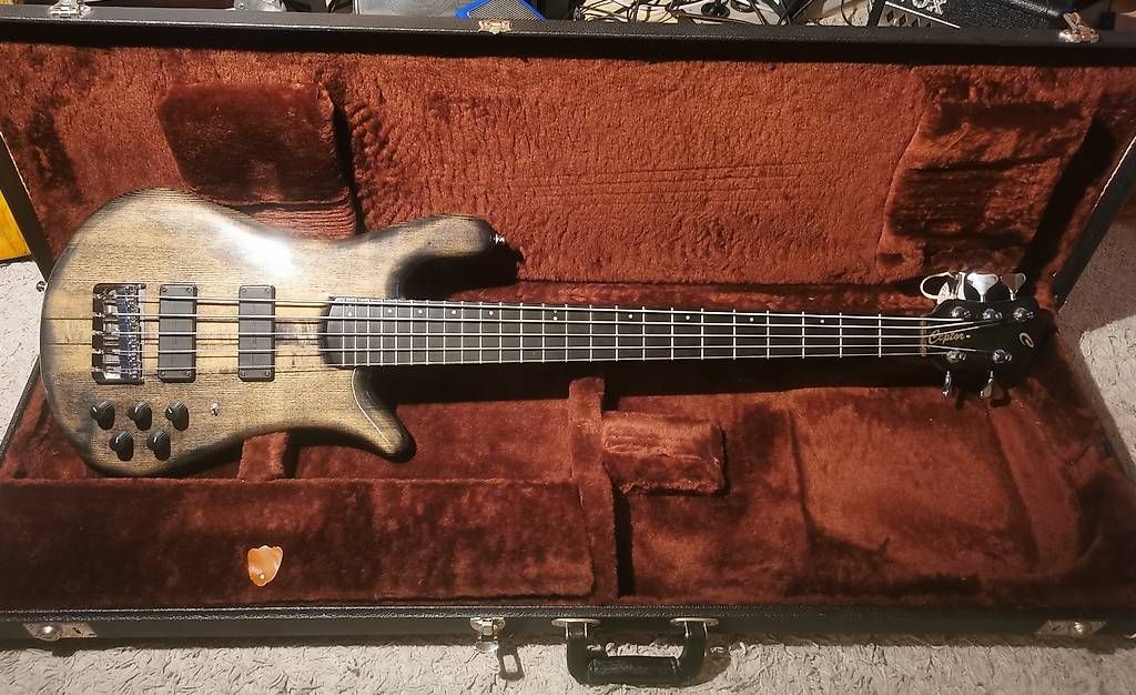 Strumenti musicali: Ceptor 5 String Top Bass (Spector, Warwick)  – Usato da Bern venduto da chr_pkg2 1