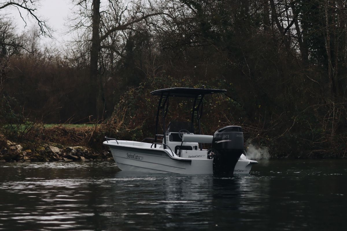 Barche: Swiss Cat 24 mit Suzuki DF300 – Nuovo (secondo la descrizione) da Solothurn venduto da Eduka72 3