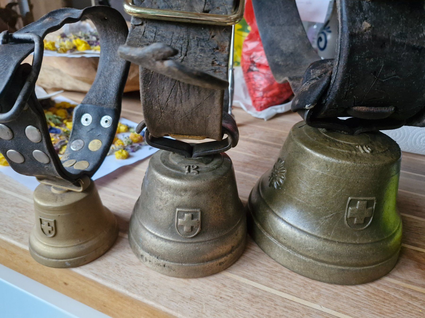 Campanacci mucche: Glocken Treicheln – Usato da Guarda venduto da rue_bpd7 1