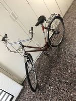 Uto Velo mit Brooks Sattel