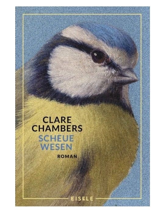 Libri: 2 Romane von Clare Chambers – Usato da Basel venduto da NormaJean01