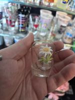 Schweizer Edelweiss Schnapsglas - Souvenir aus Zweisimmen