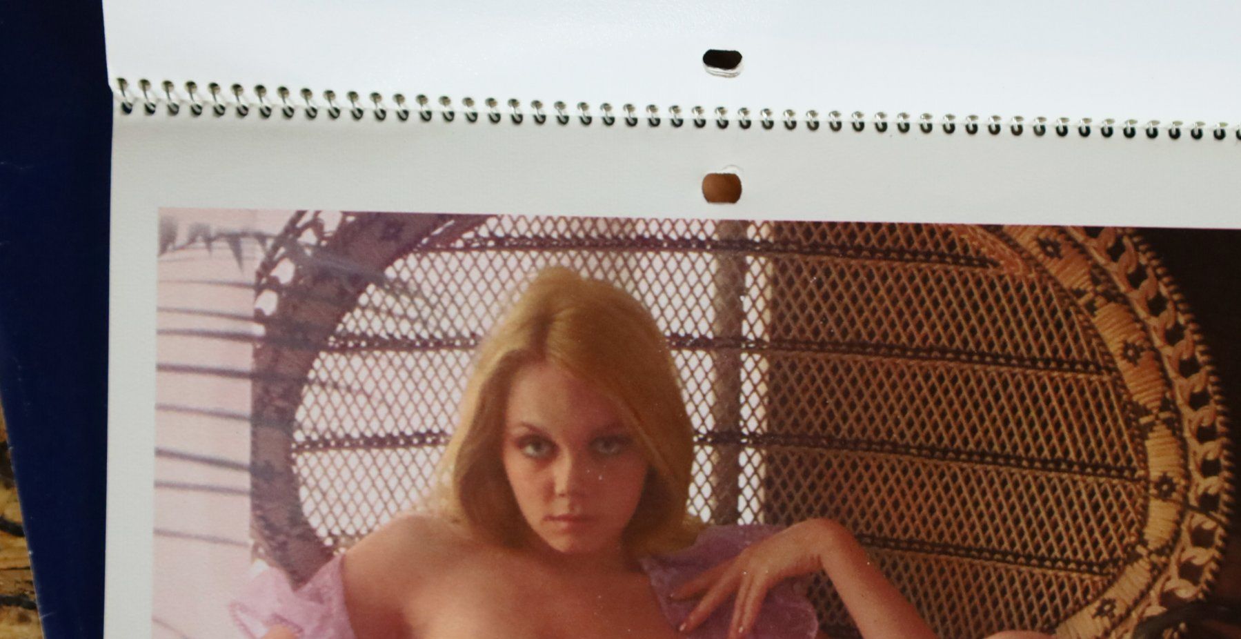 Playboy Calendari: PLAYBOY Kalender 1974 – Usato da Birrwil venduto da brandschatz_birrwil 1