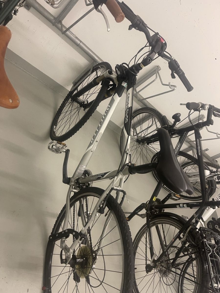Biciclette: Herren Bike – Usato da Wängi venduto da chiaralina11