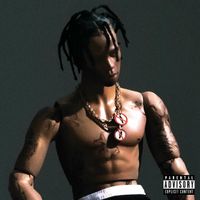 Rodeo - Travis Scott Vinyl