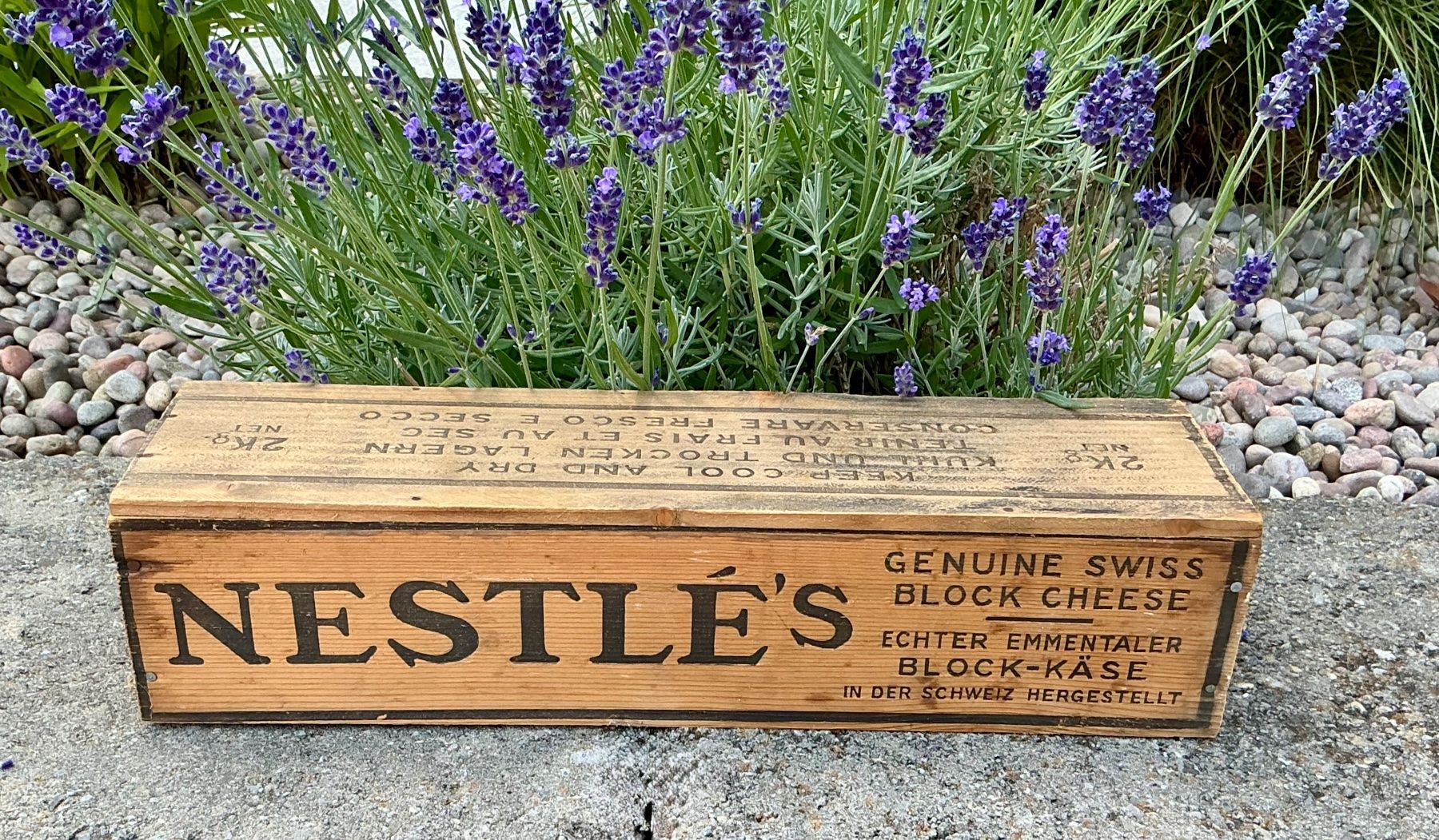 Casse di trasporto: ALTE KLEINE  NESTLÉ HOLKISTE – Usato da Zell LU venduto da Silvermemory 2