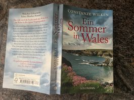 Constanze Wilken Ein Sommer in Wales Roman