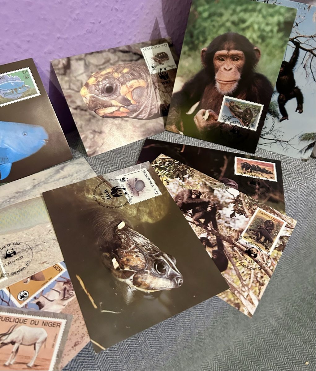 Tutti i francobolli: Lot de 21 cartes maximum – Usato da Petit-Lancy venduto da Pierre_le_voyageur 2