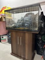 Aquarium mit Unterschrank und Zubehör