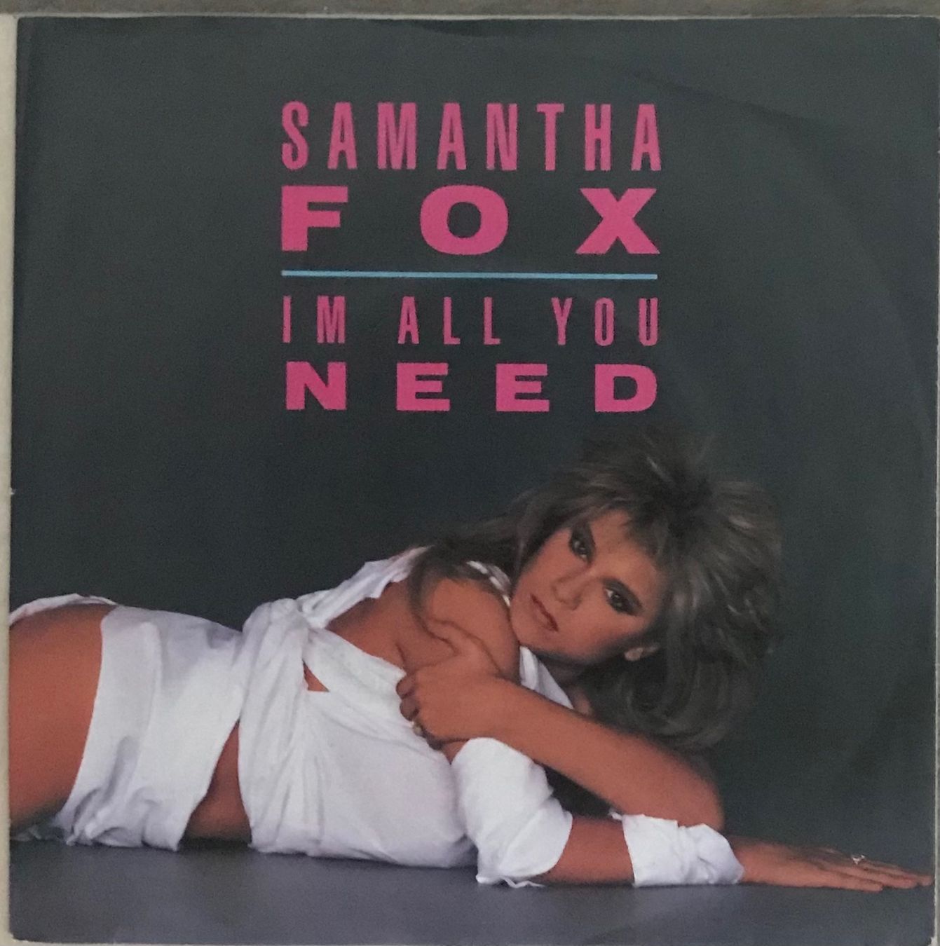 Vinyles: SAMANTHA FOX - IM ALL YOU NEED – D'occasion à Bussigny par vinyl-pas-cher