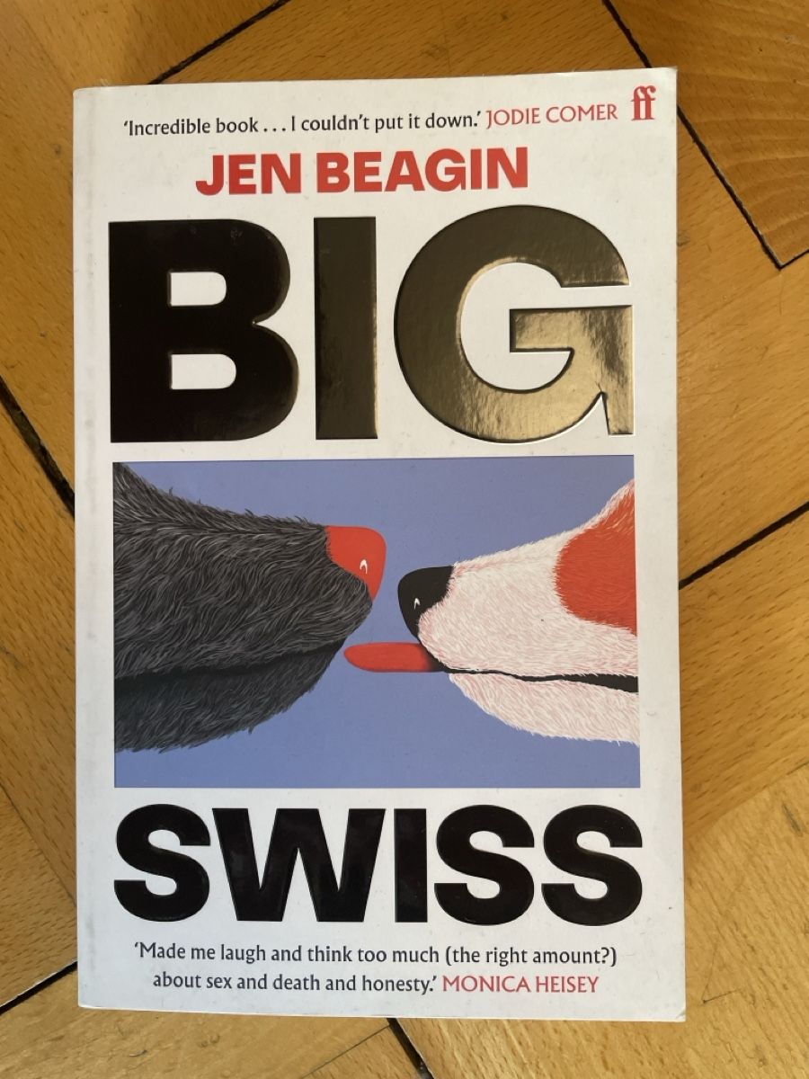 Libri: Buch Big Swiss von Jen Beagin – Usato da Zürich venduto da joa_7xds