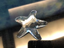 Swarovski Seestern Kristall Sammeledition Sommerdeko Figur