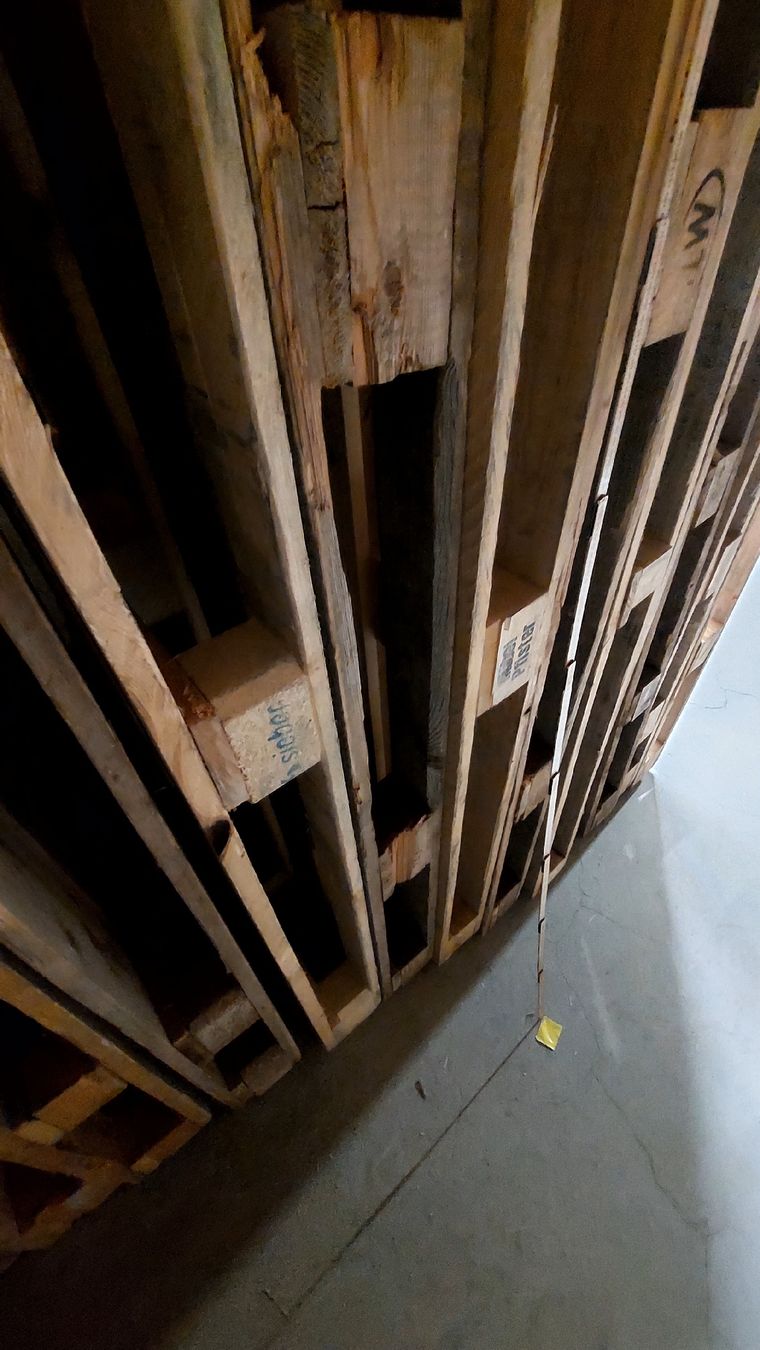 Pallets: 10× 2m Holzpaletten – Usato da Andwil SG venduto da adr_7gnk 2