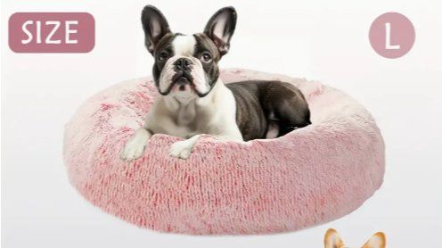 Cucce & Letti: Hundebett,Hundecouch,Katzenbett Grau oder Hellgrau 50cm ⌀ – Nuovo e nell'imballaggio originale da Rorschach venduto da Mr_fairprice 4