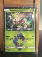POKÉMON / Shaymin / Team Up
