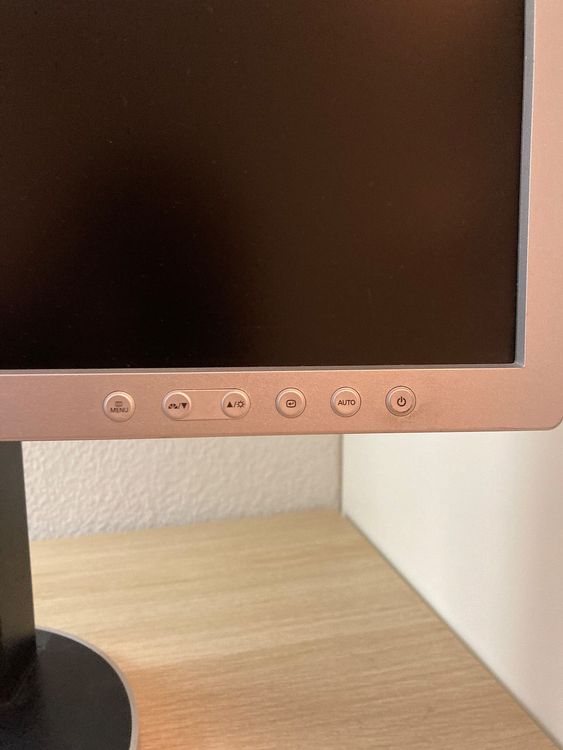 Monitor, 22 Zoll, Samsung SyncMaster 225BW | Kaufen auf Ricardo