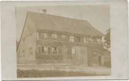 Landwirtschaft/Bauernhaus mit Reben 1919 Andelfingen ZH
