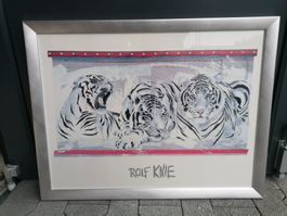 Rolf Knie Bild - 3 weisse Tiger - 60 x 80cm