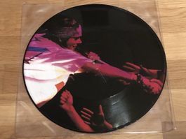 GUNS N’ROSES. 1992. Pictures Disques. November Rain