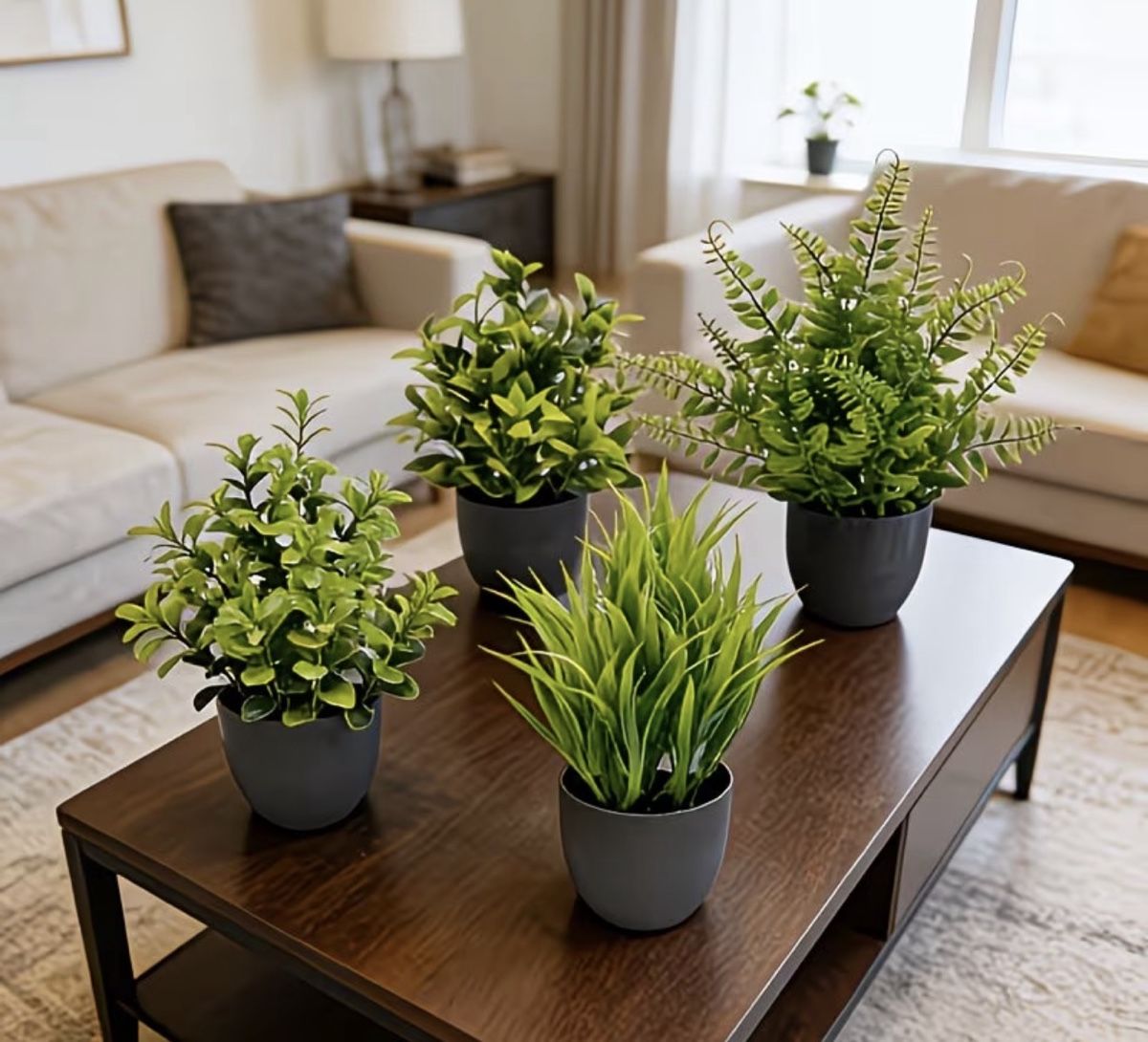 Piante & sementi: Set de 4 plantes artificielles – Nuovo e nell'imballaggio originale da Châtel-St-Denis venduto da Montclair_Swiss 2