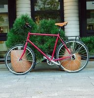 Aarios Rabbit Rohloff, frisch ab Service, gepflegt