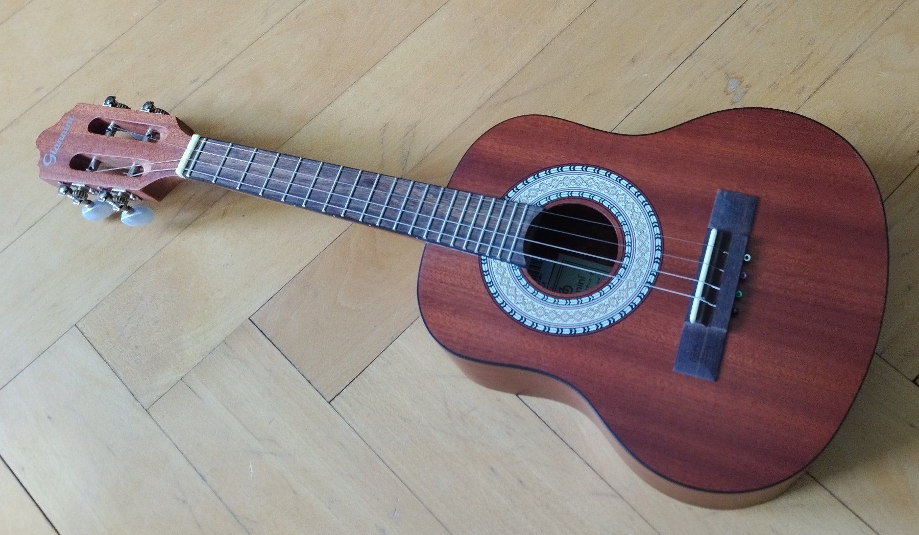Giannini Musikinstrumente: Cavaquinho acoustique Giannini neuf – Neu und originalverpackt aus Vevey von Djporradao 3