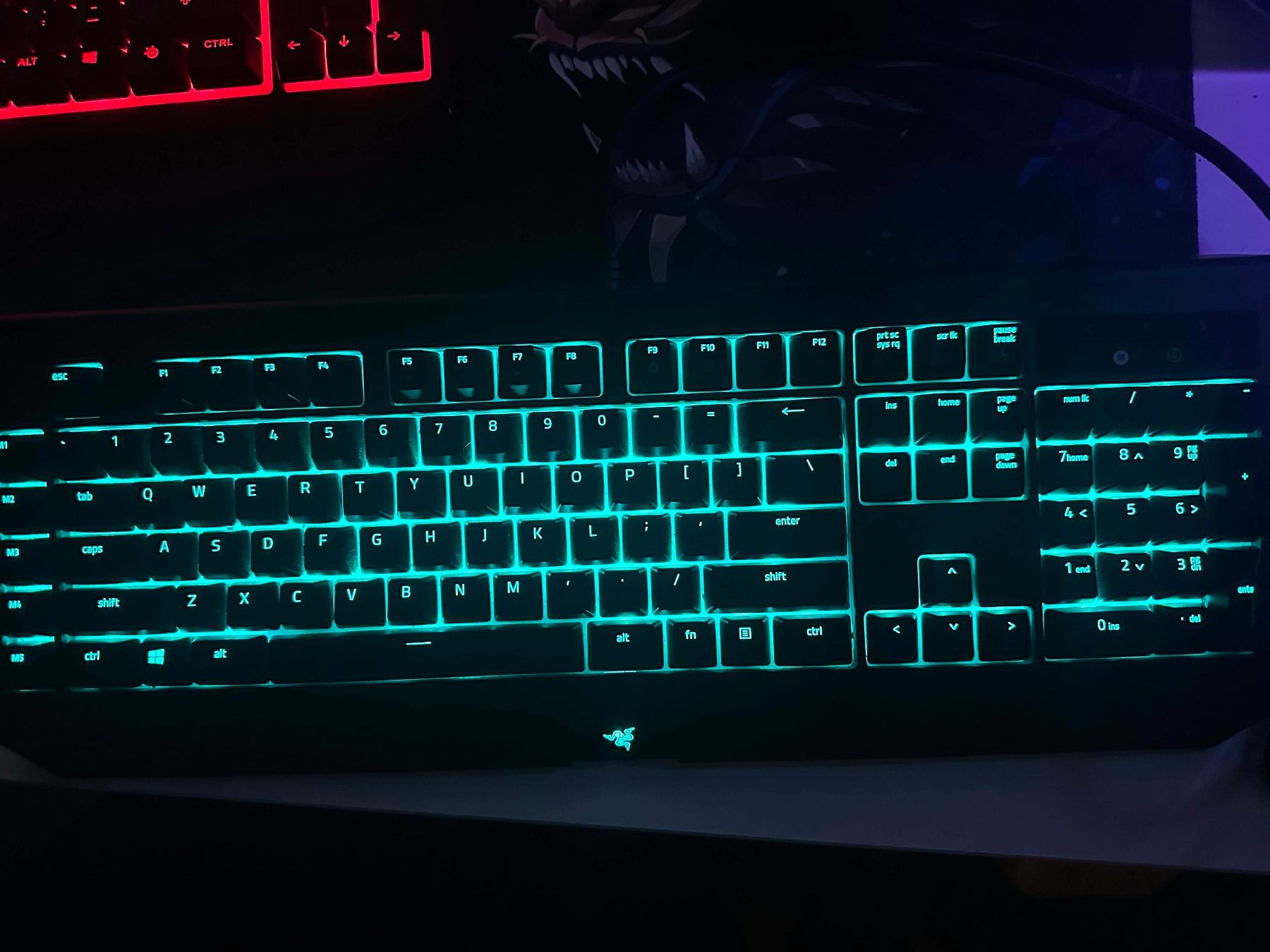 Tastiere: Razer Blackwidow V2 Chroma / Green Switches – Usato da Schaffhausen venduto da ski_s2bf