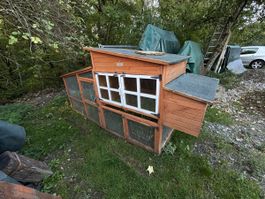 Pethomes Hühnerstall Hasenstall VILLA AROSA isoliert