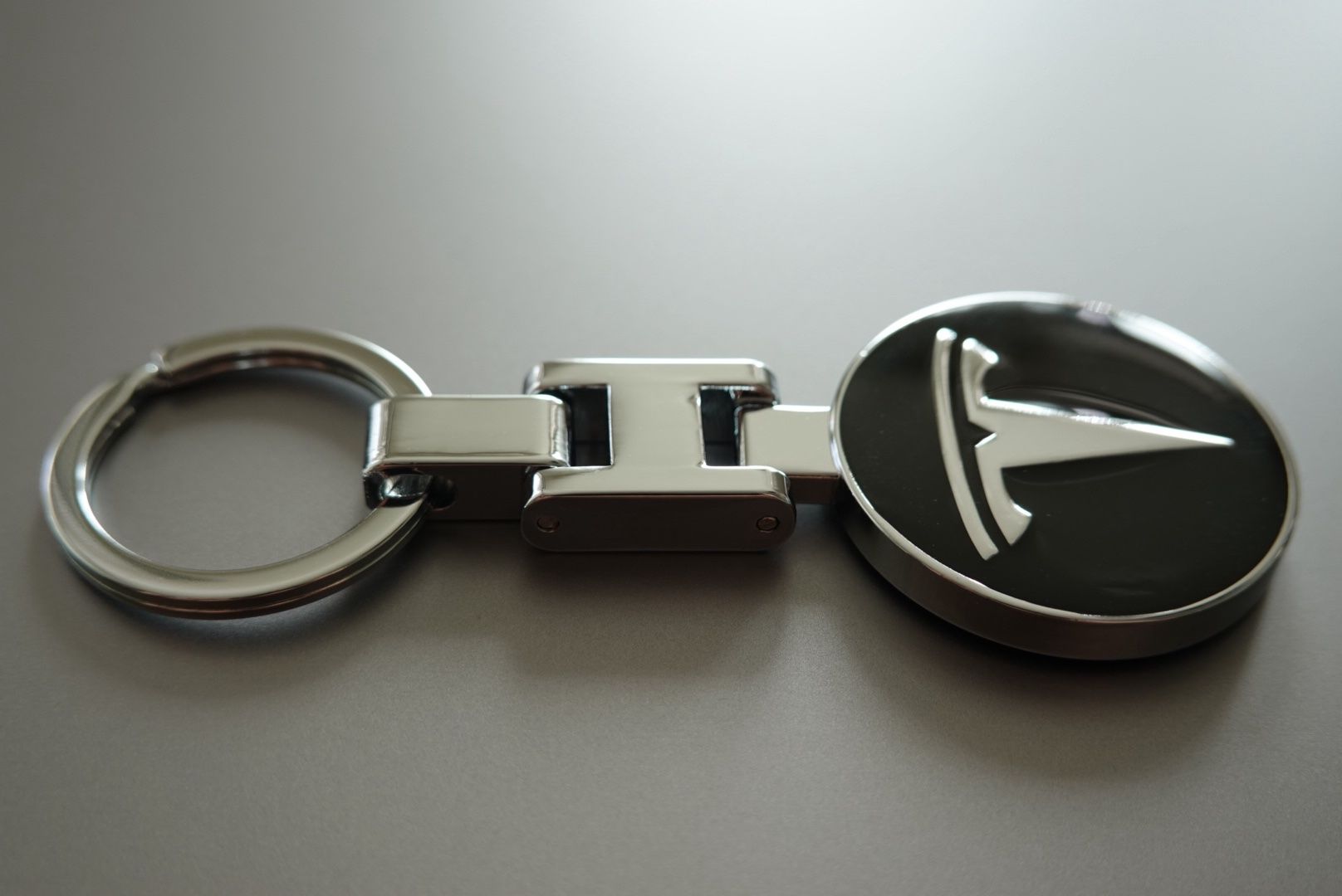 Portachiavi: Tesla Model 3 Model S Model X Model Y Schlüsselanhänger – Nuovo (secondo la descrizione) da Reinach BL venduto da Hegelmann 1