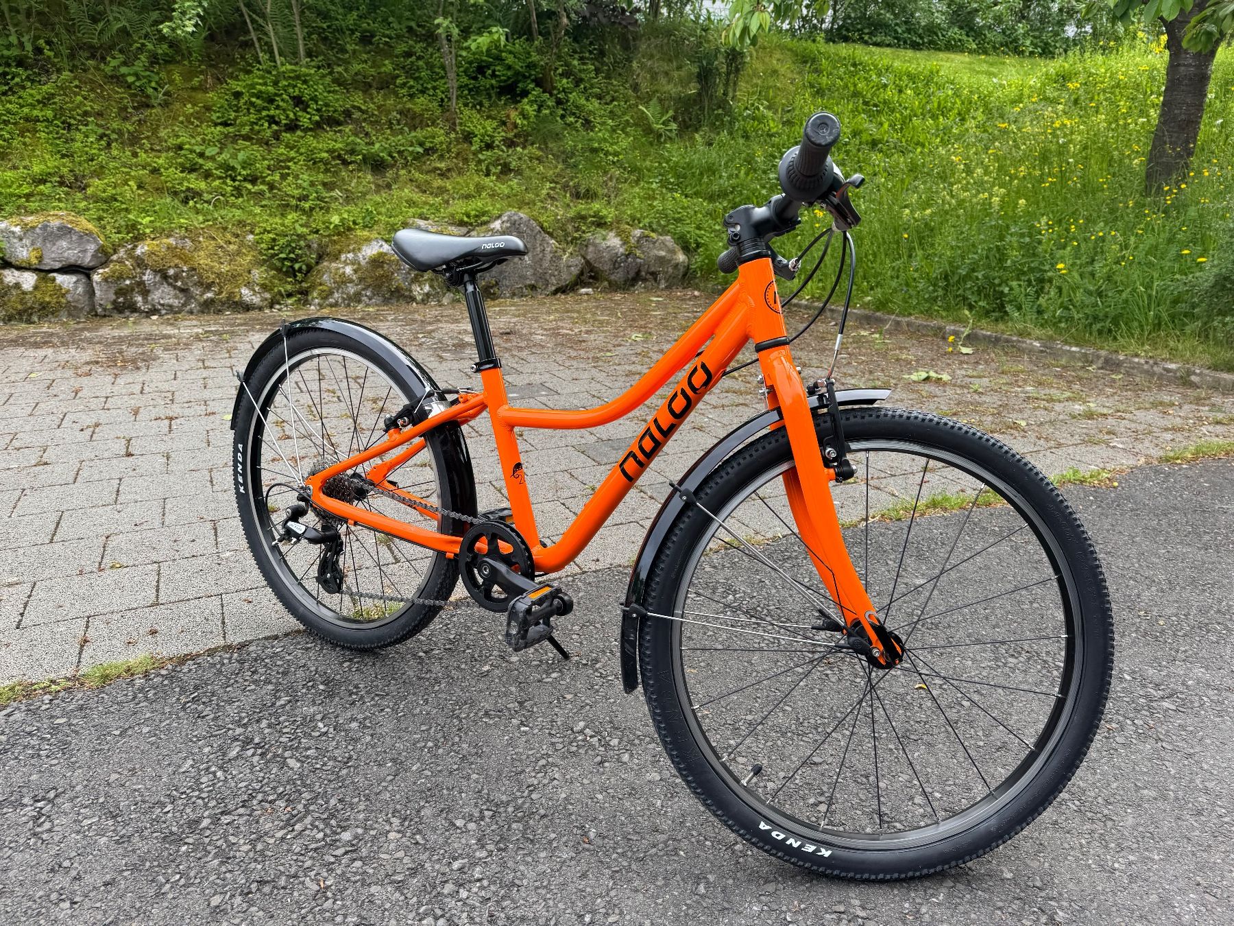 Velos: Naloo Chameleon 24 Zoll – Gebraucht aus Fraubrunnen von RealMurphy 3