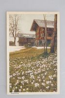 AK Bergfrühling