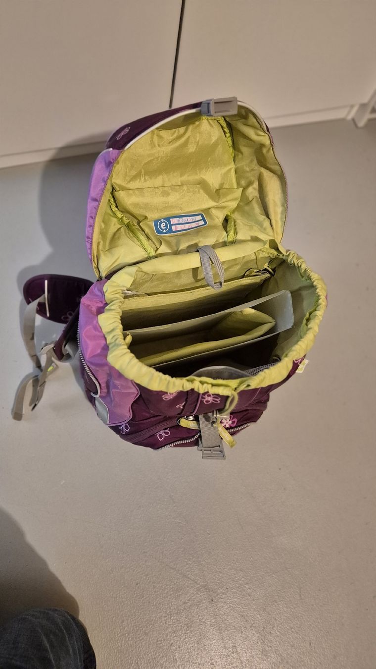 Ergobag Borse & Zaini: Ergobag Schulrucksack violett/rosa Mädchen mit Zubehör – Usato da Uttigen venduto da Mags78 3